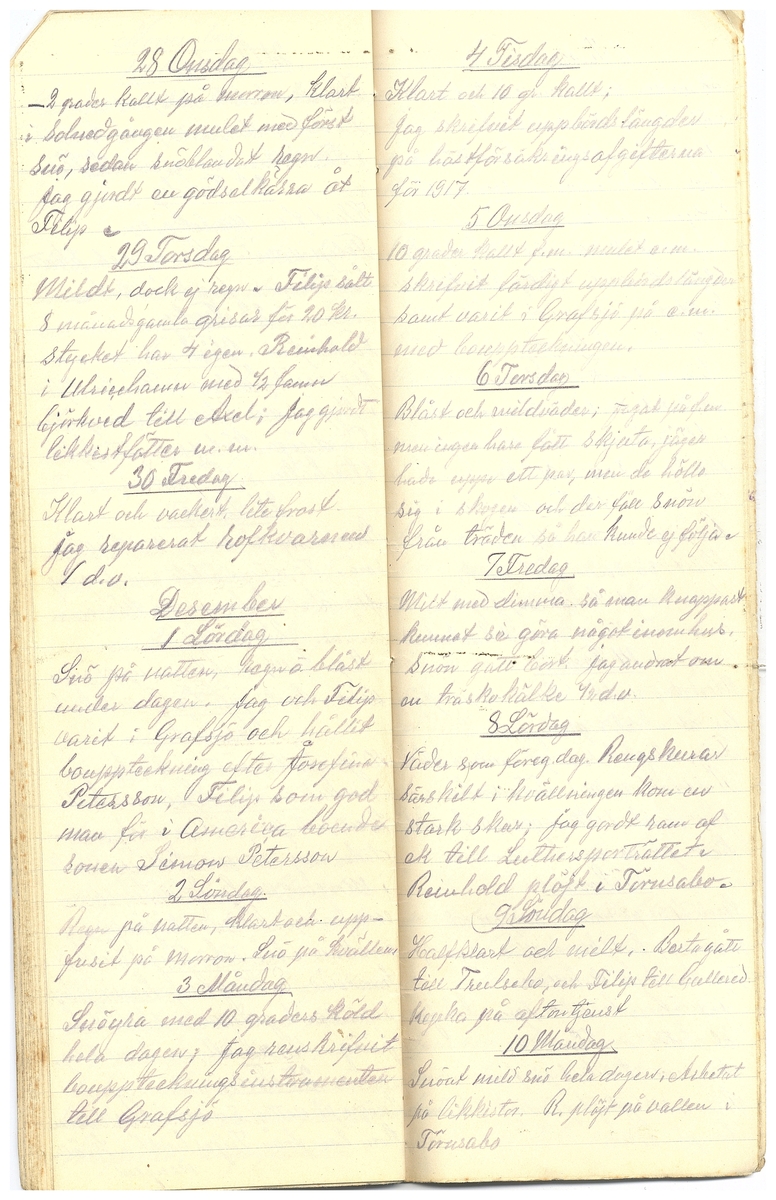 Gullereddagboken 1917 3