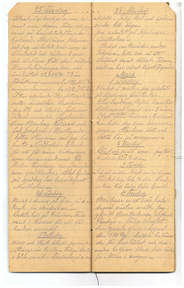 Gullereddagboken 1921-1922