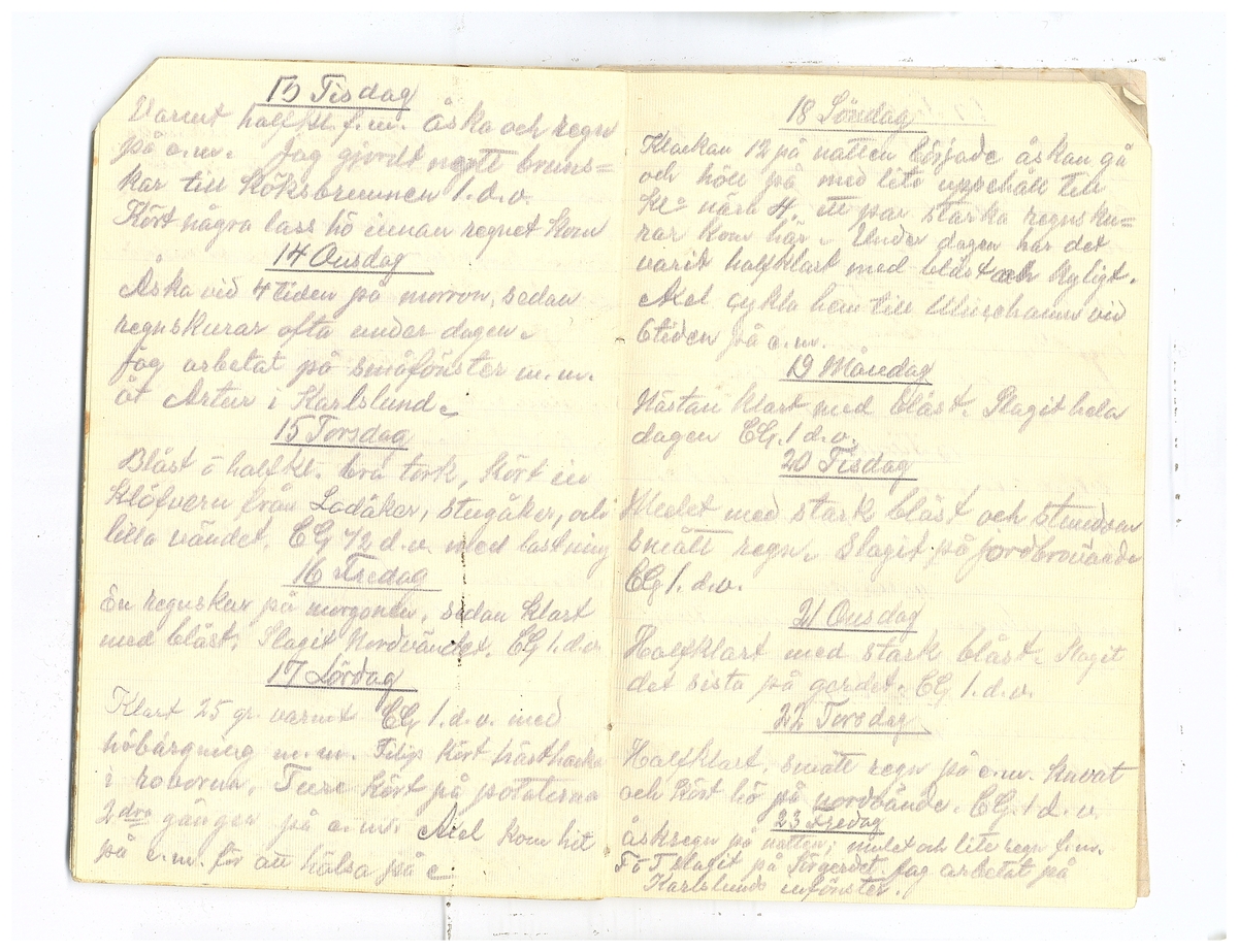 Gullereddagboken 1920 2