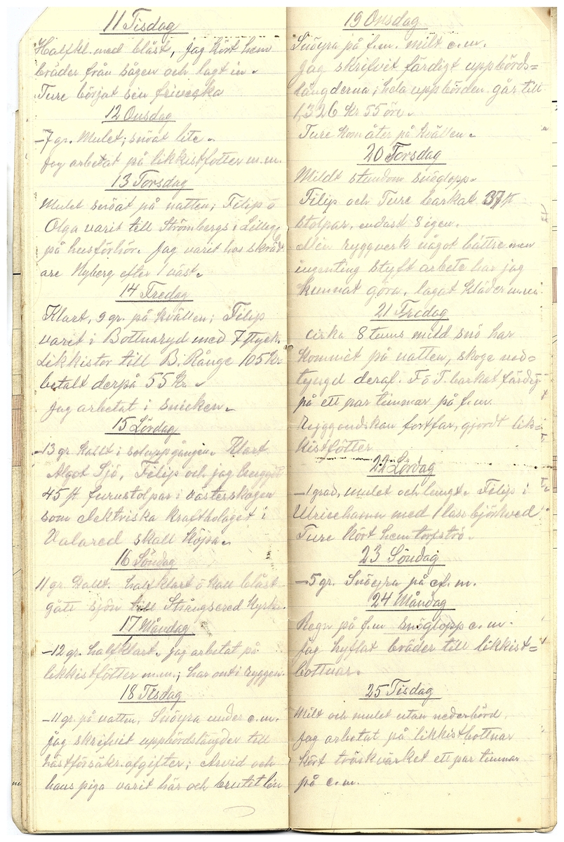 Gullereddagboken 1919 2