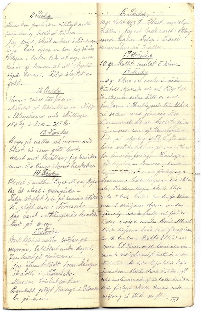 Gullereddagboken 1917 3