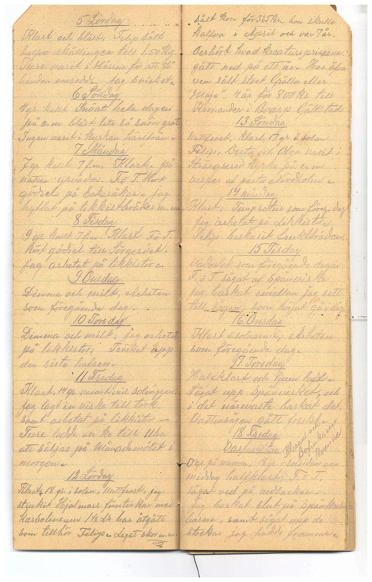 Gullereddagboken 1921-1922