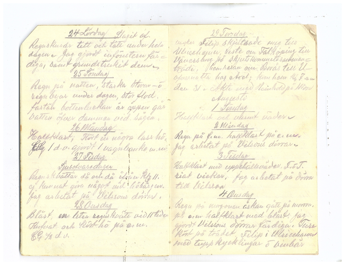 Gullereddagboken 1920 2