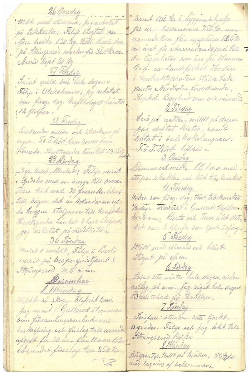 Gullereddagboken 1919 2