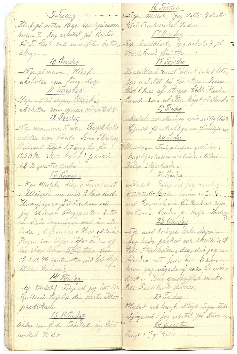 Gullereddagboken 1919 2