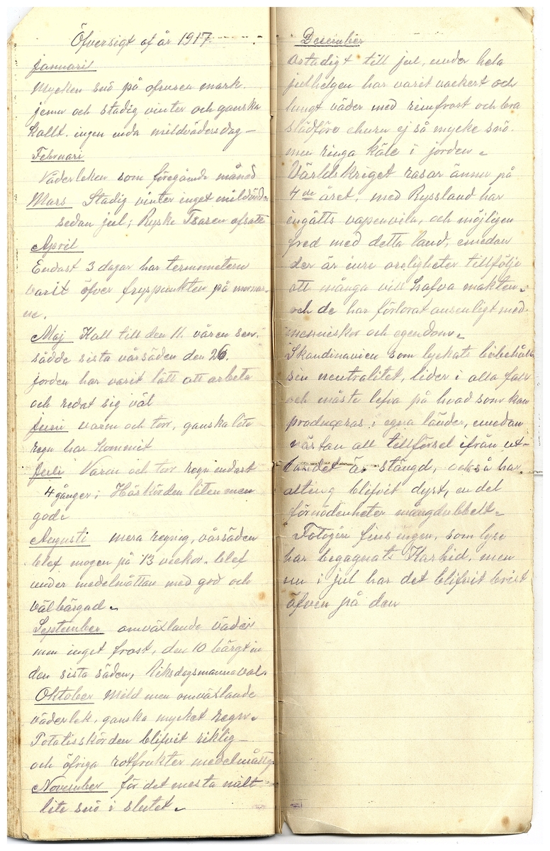 Gullereddagboken 1917 3