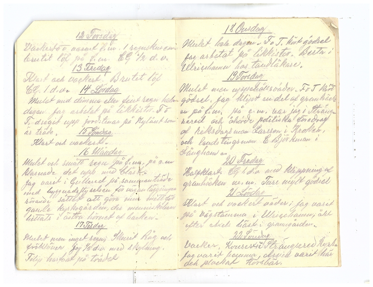 Gullereddagboken 1920 2