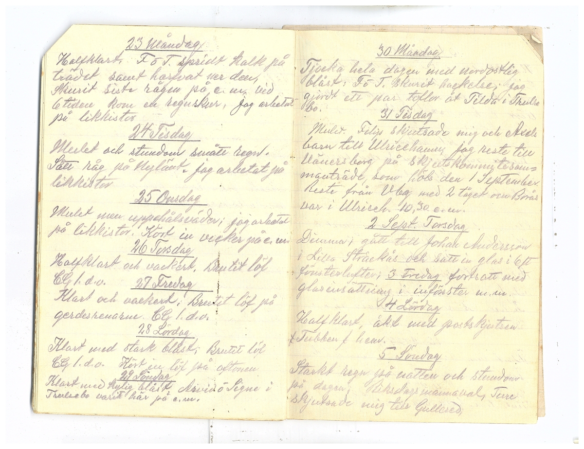 Gullereddagboken 1920 2
