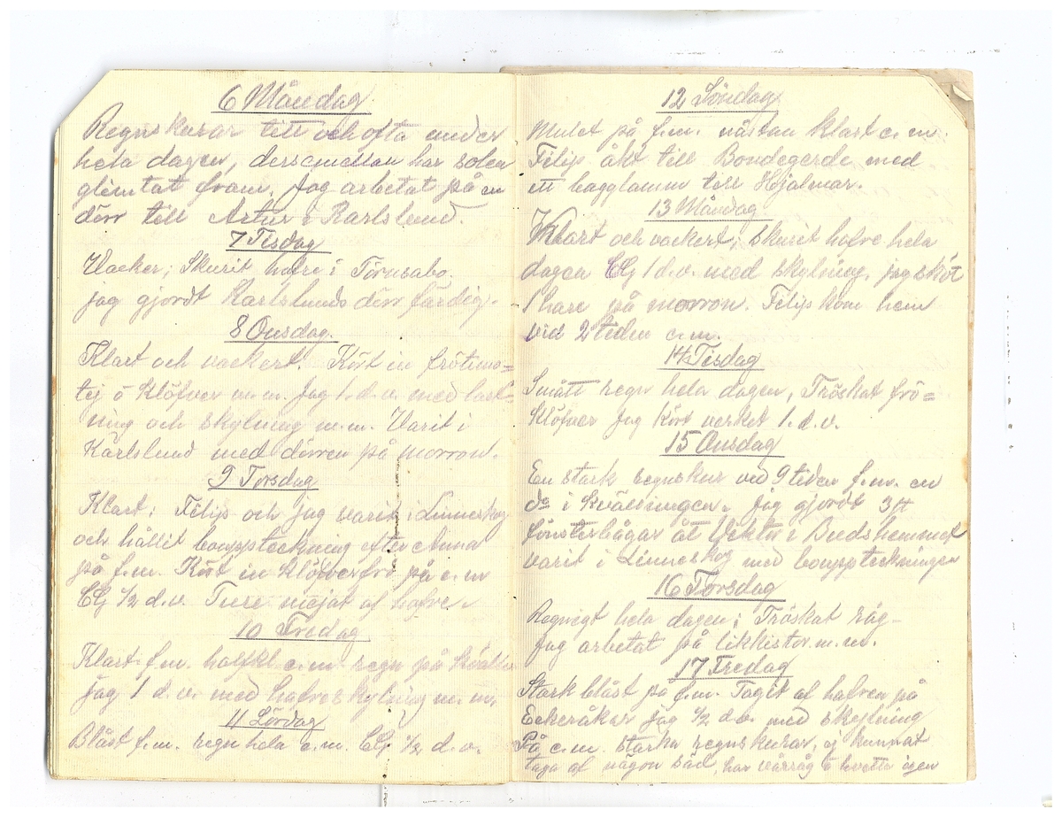 Gullereddagboken 1920 2