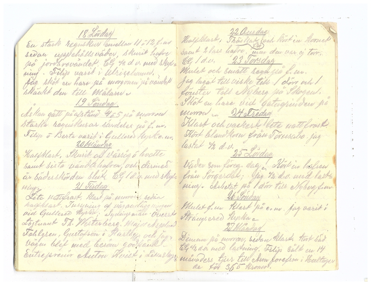 Gullereddagboken 1920 2