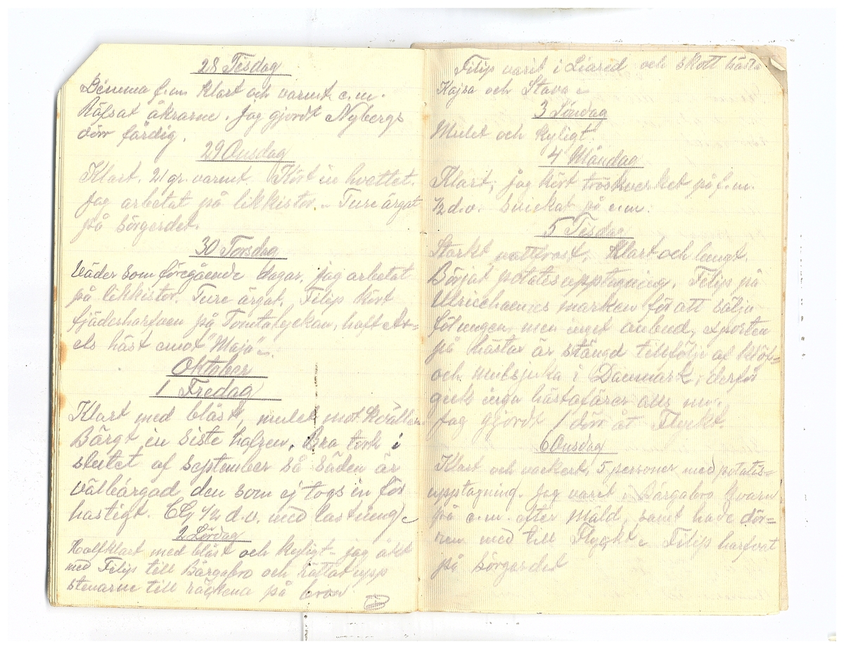 Gullereddagboken 1920 2