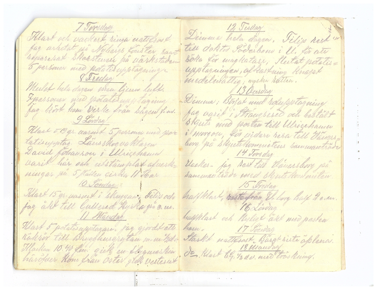 Gullereddagboken 1920 2