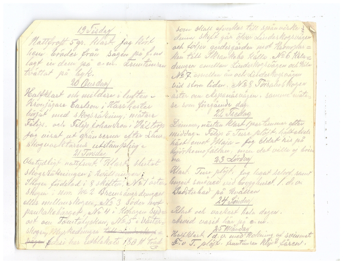 Gullereddagboken 1920 2