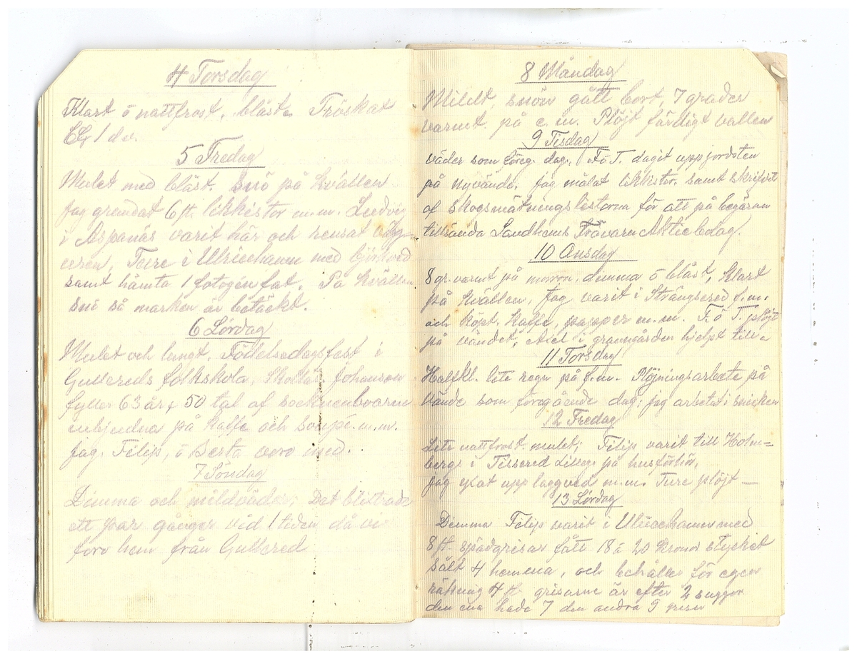 Gullereddagboken 1920 2