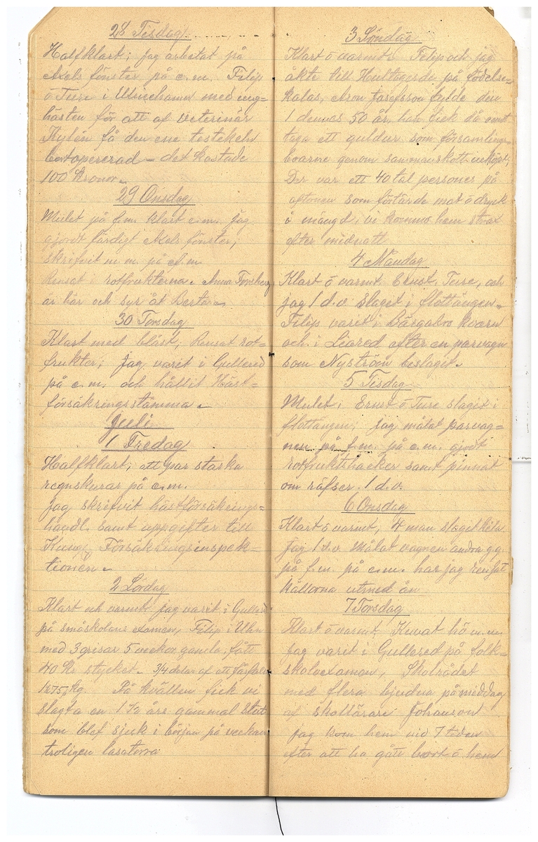 Gullereddagboken 1921-1922