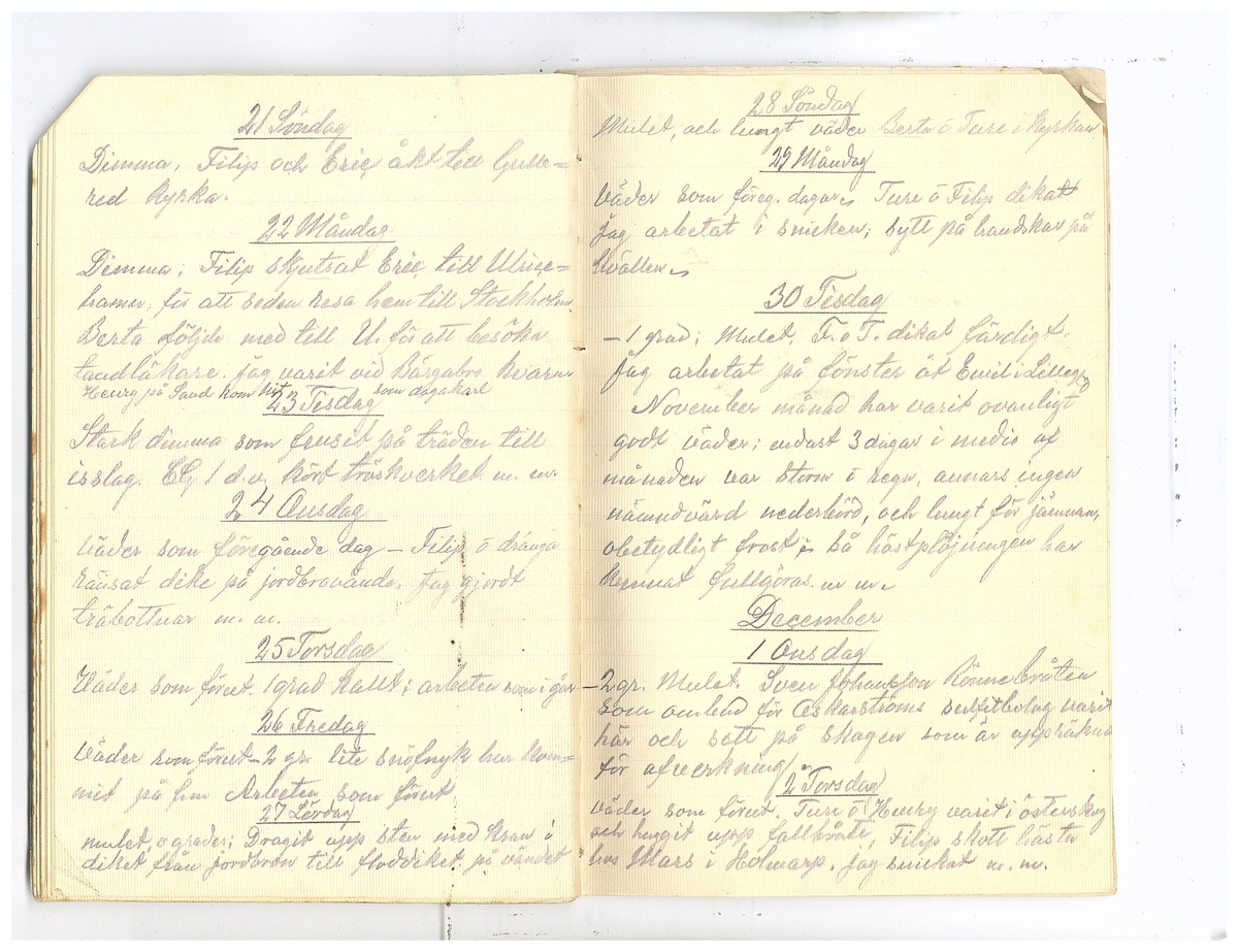 Gullereddagboken 1920 2