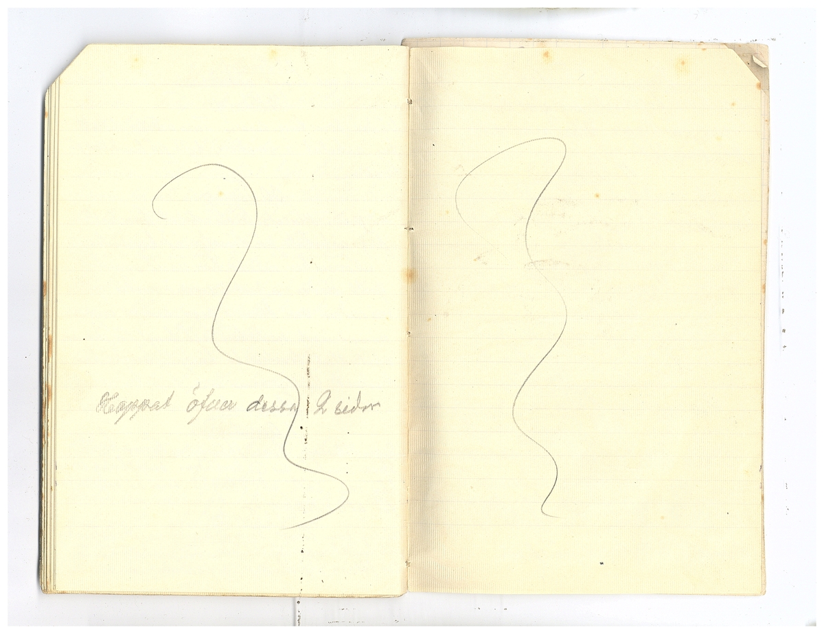 Gullereddagboken 1920 2