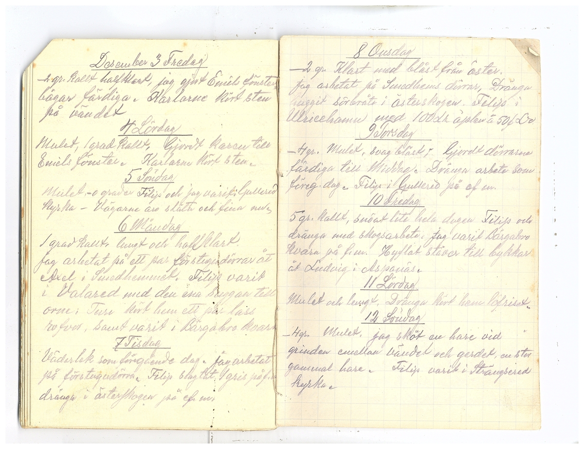 Gullereddagboken 1920 2