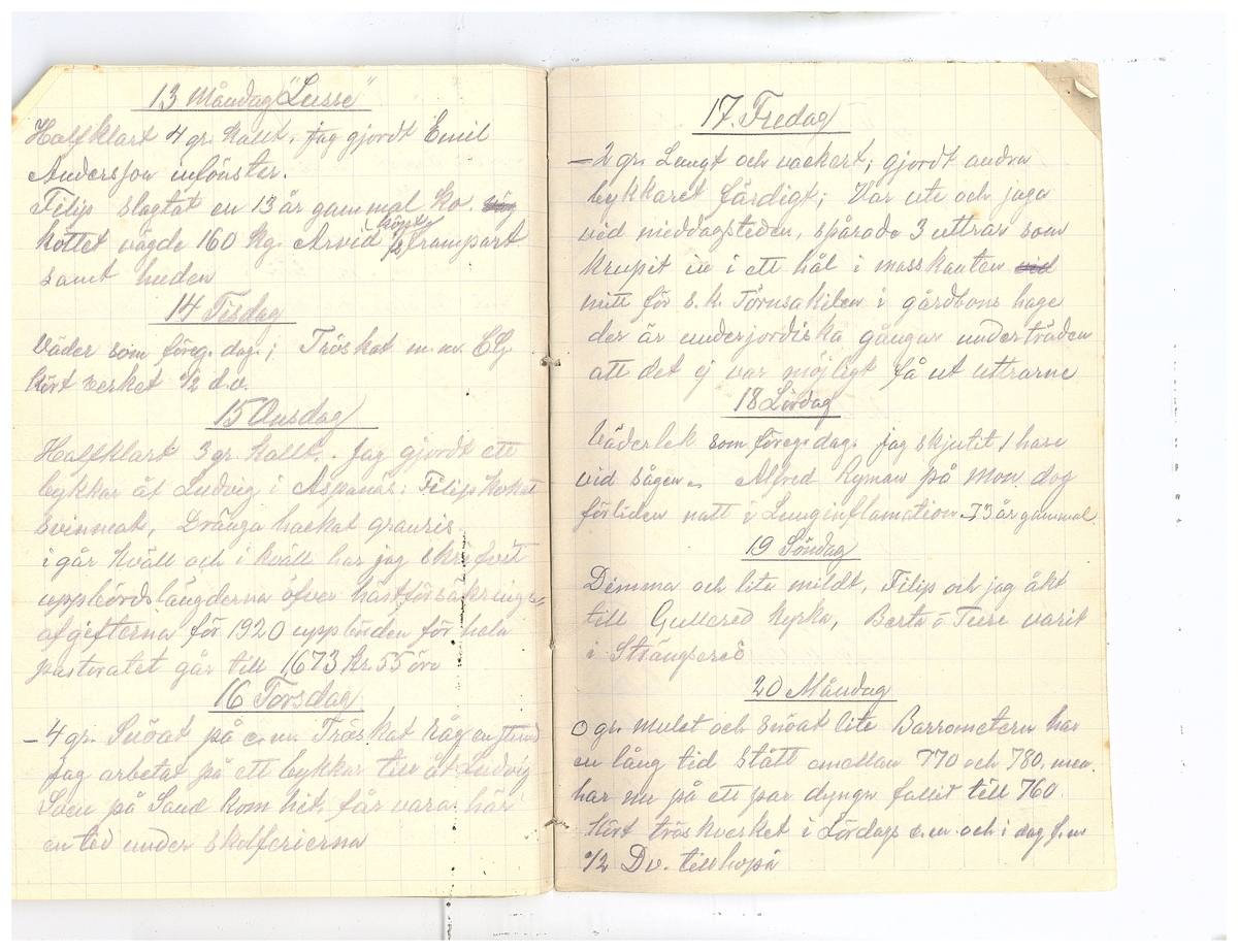 Gullereddagboken 1920 2