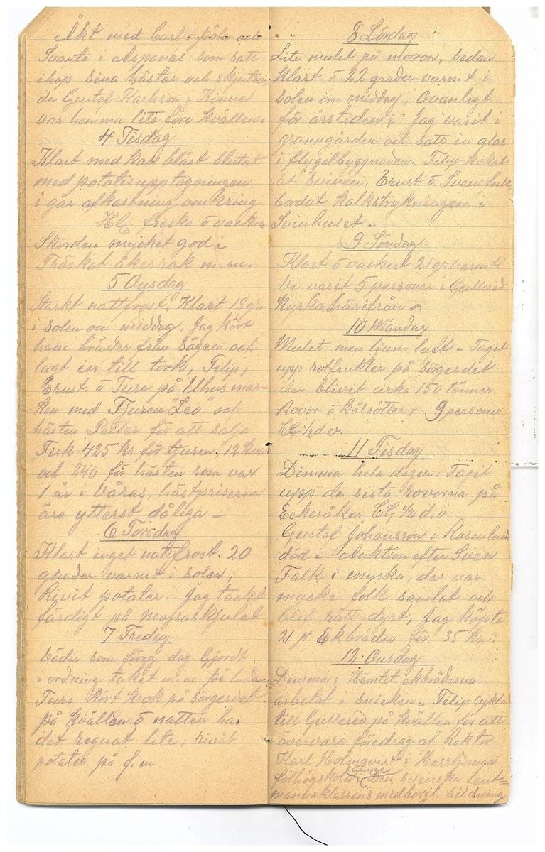 Gullereddagboken 1921-1922