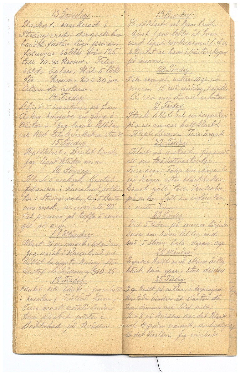 Gullereddagboken 1921-1922