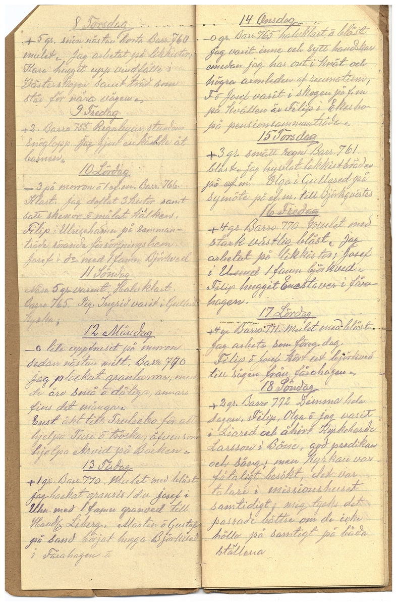 Gullereddagboken 1925