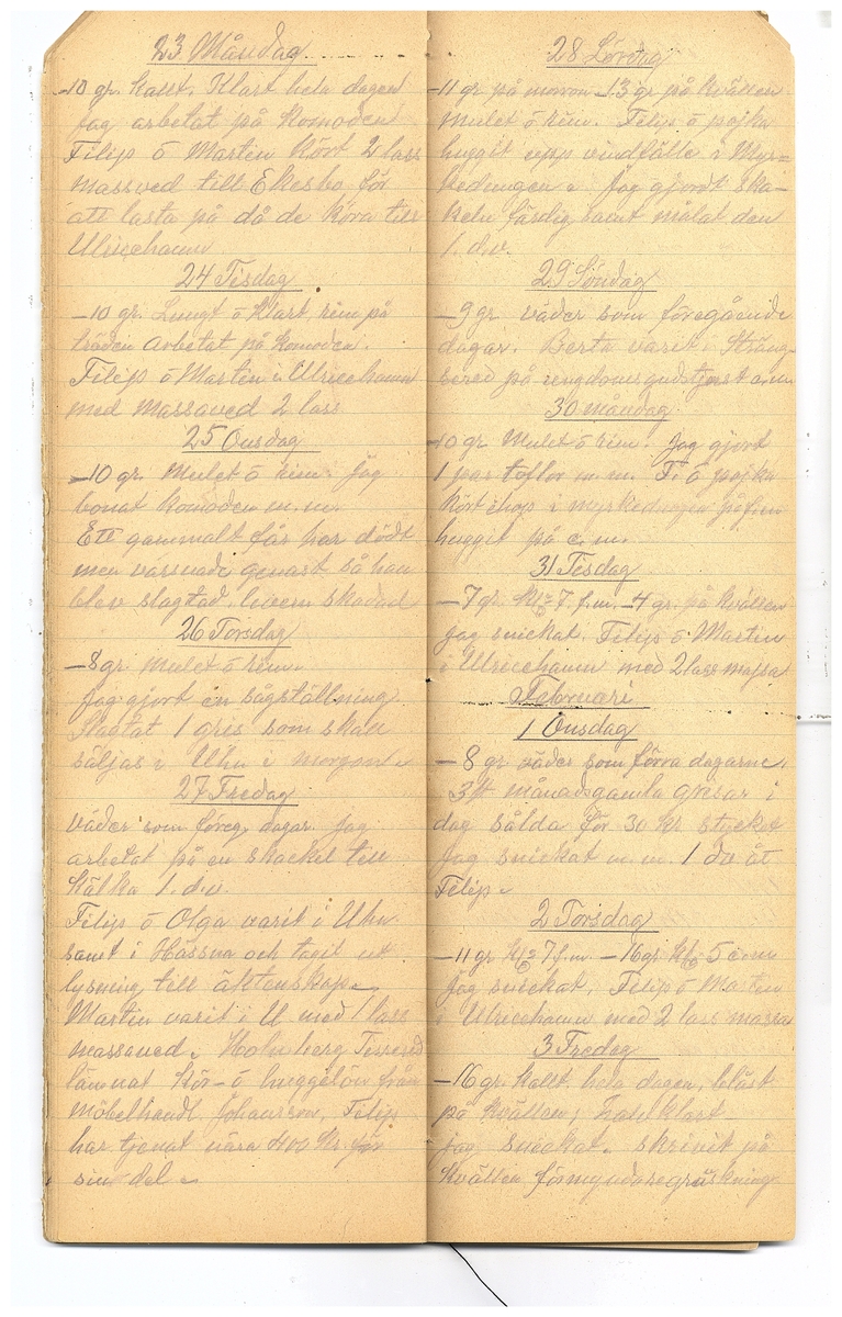 Gullereddagboken 1921-1922