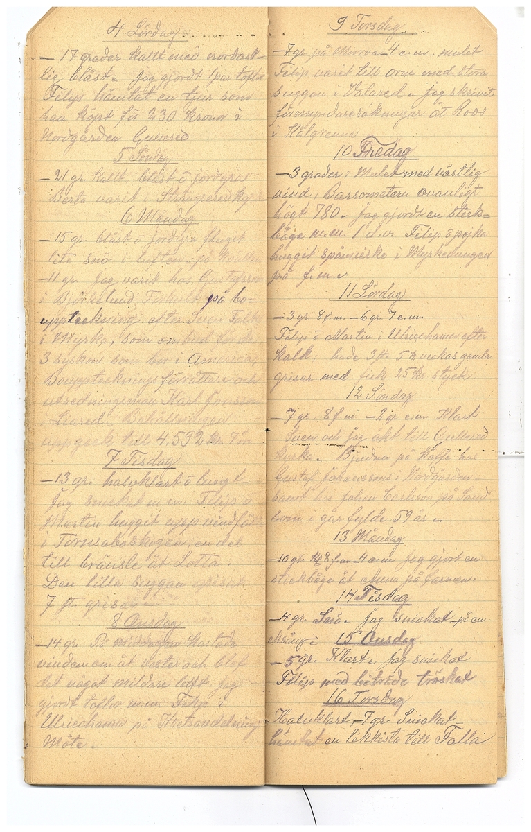 Gullereddagboken 1921-1922