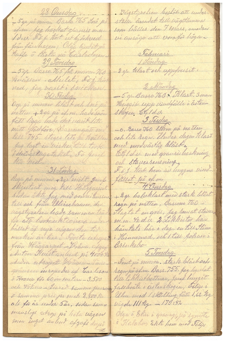 Gullereddagboken 1925