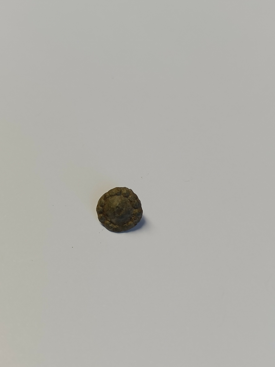 Liten pyntenagle med relativt kraftig naglestilk og et lett buet, rundt hode med en perlerad i ytterkant.