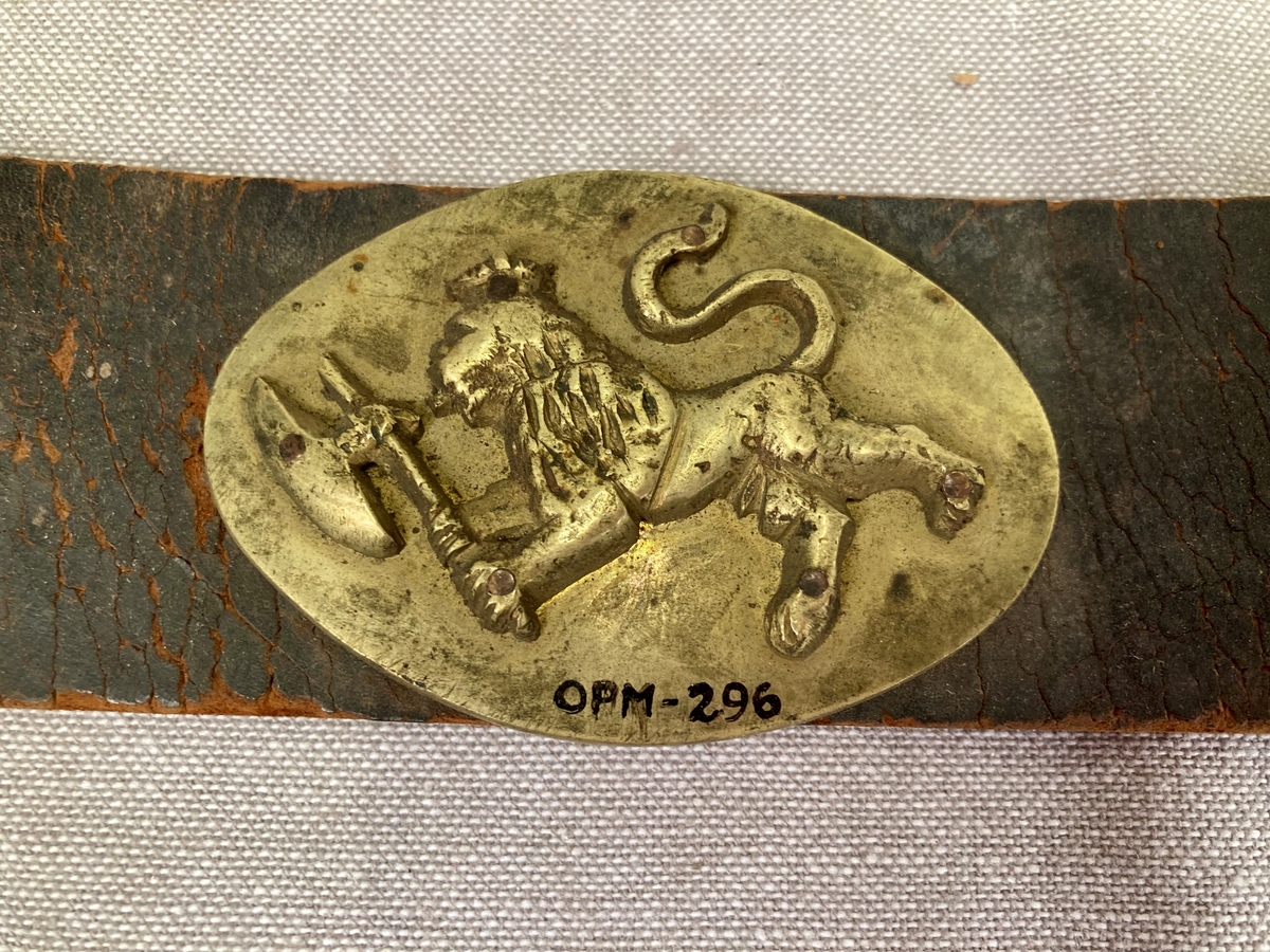 Den norske løve. Riksvåpen.