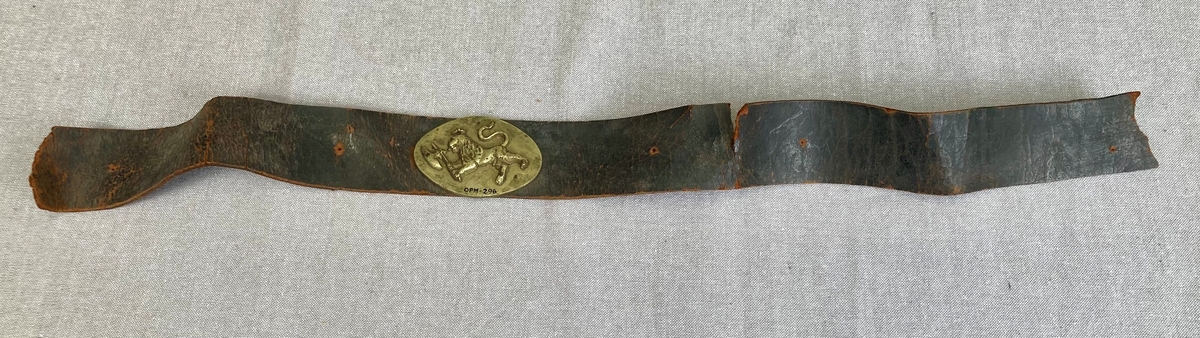 Den norske løve. Riksvåpen.