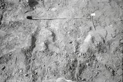 Arkeologisk undersökning. Fastigheten 2:4 öster om Plöjarevä