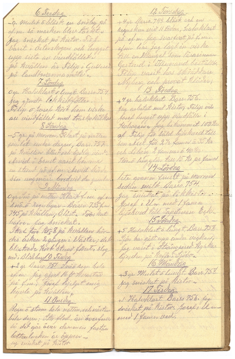 Gullereddagboken 1925