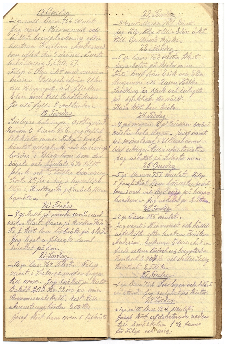 Gullereddagboken 1925