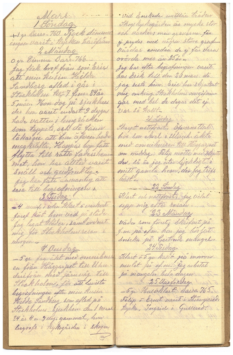 Gullereddagboken 1925