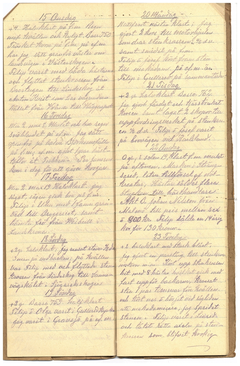 Gullereddagboken 1925
