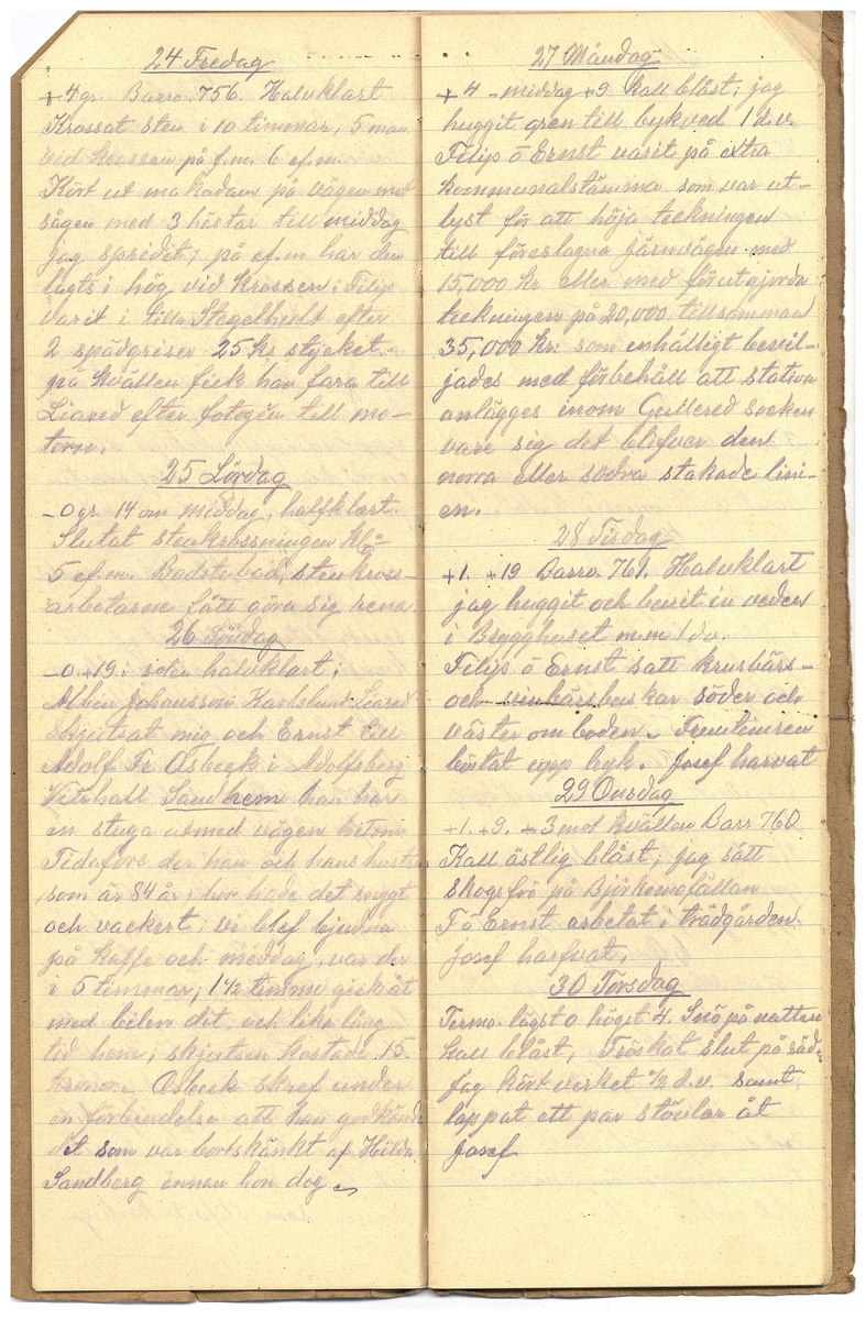 Gullereddagboken 1925
