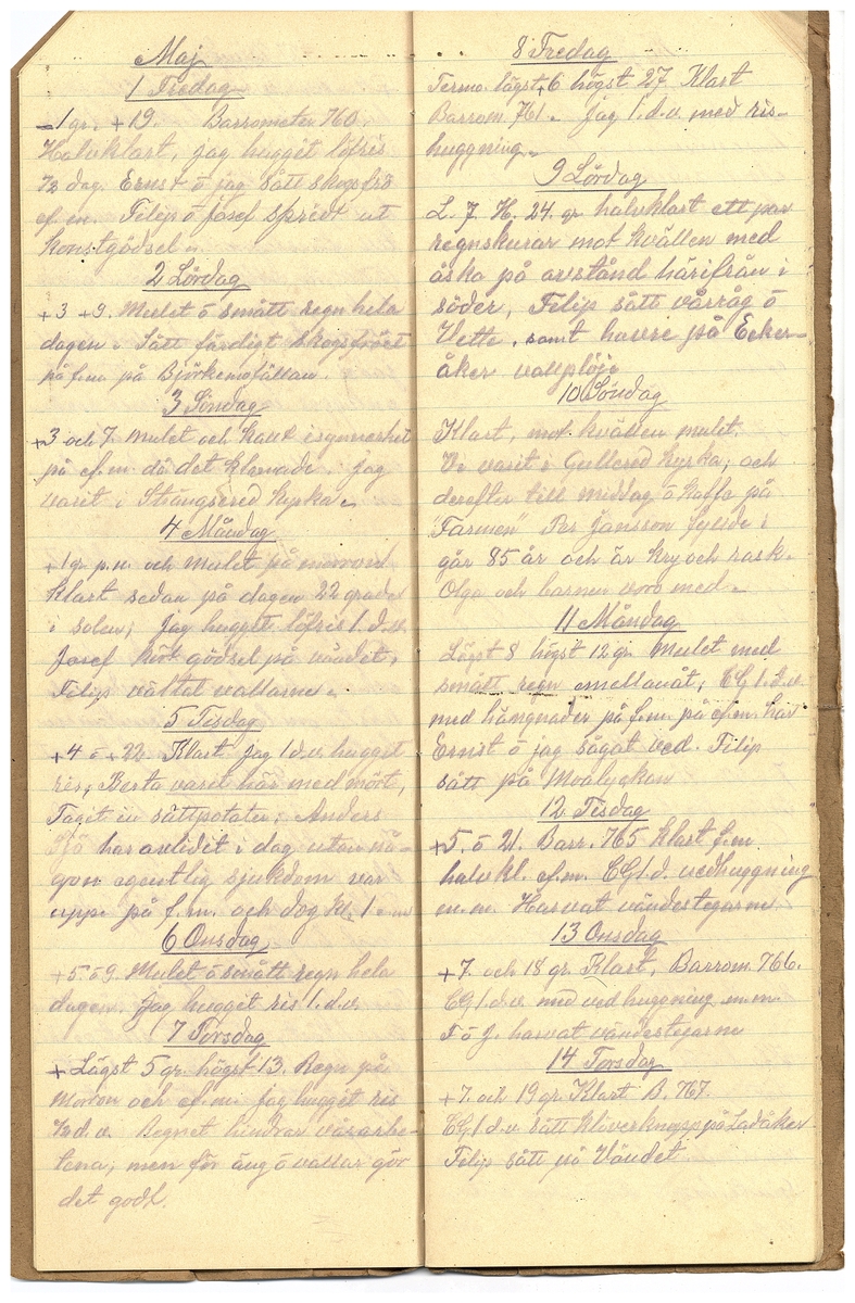 Gullereddagboken 1925