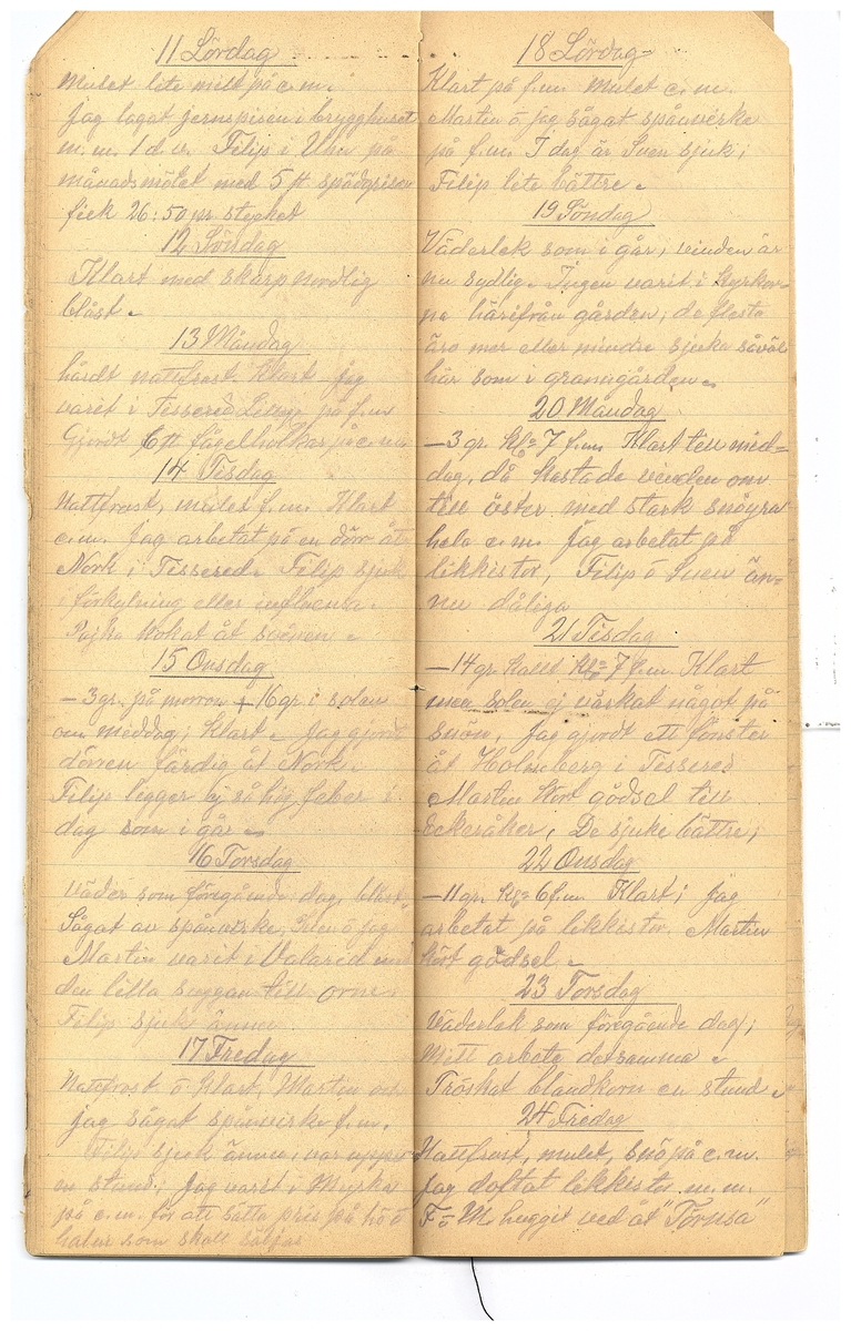 Gullereddagboken 1921-1922