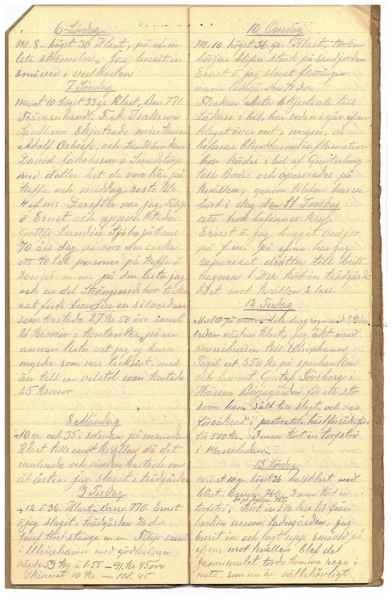 Gullereddagboken 1925