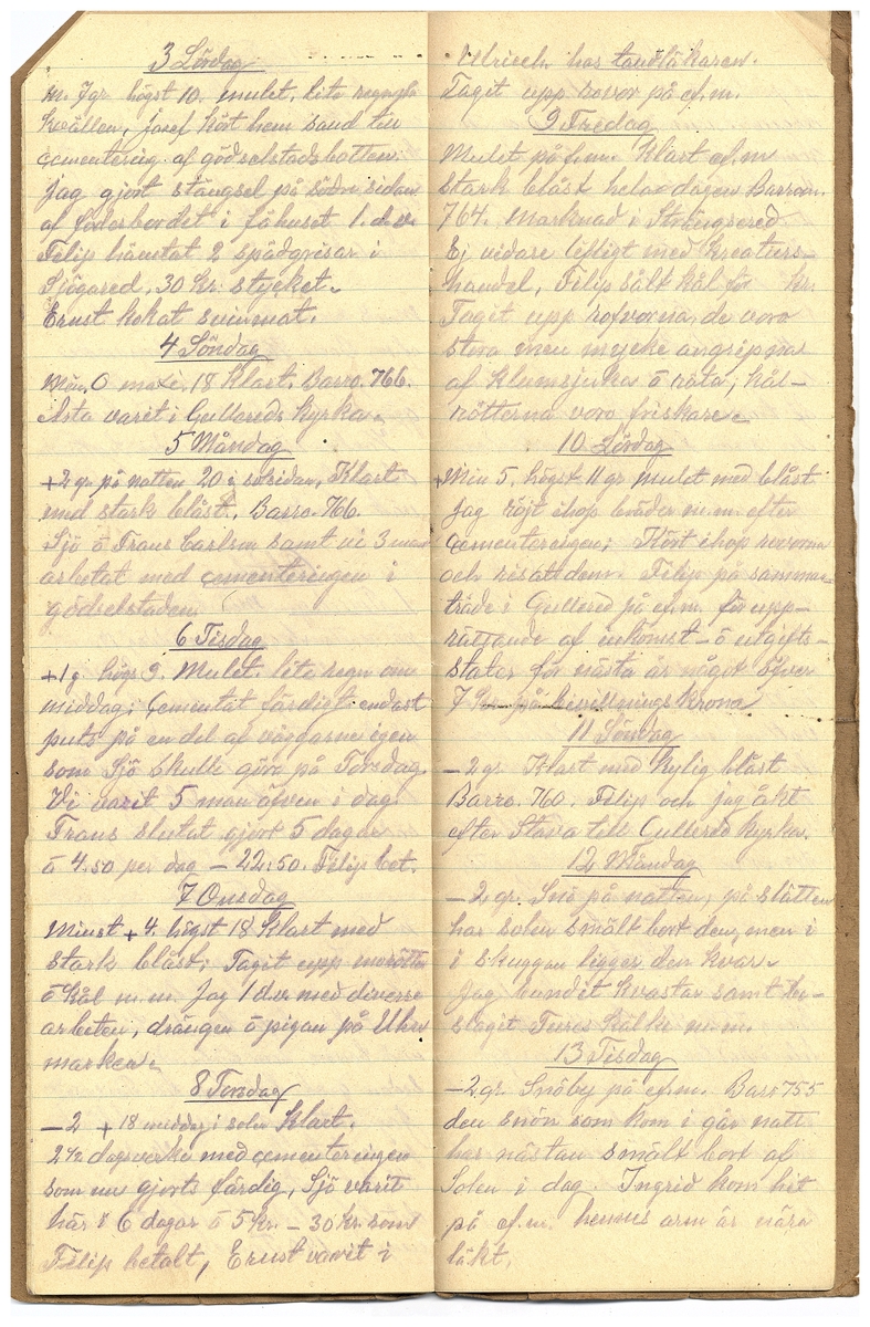 Gullereddagboken 1925