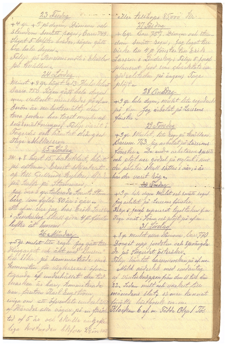 Gullereddagboken 1925