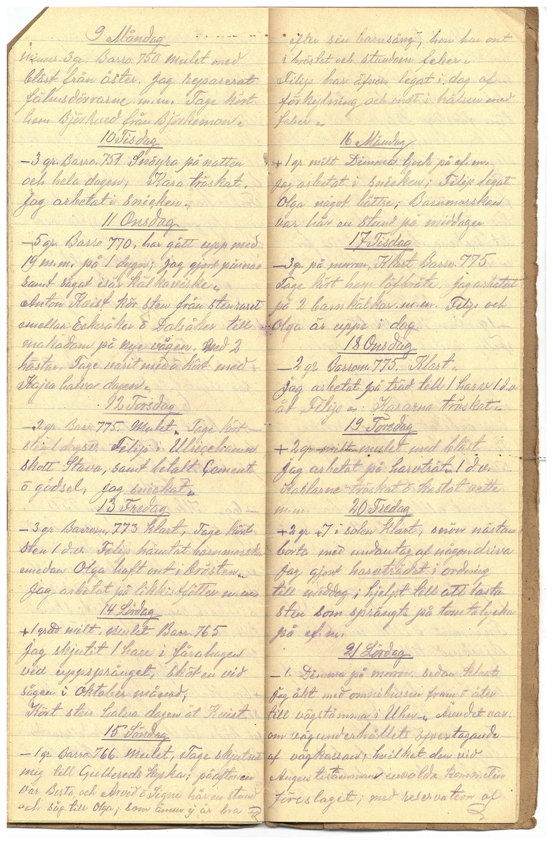 Gullereddagboken 1925
