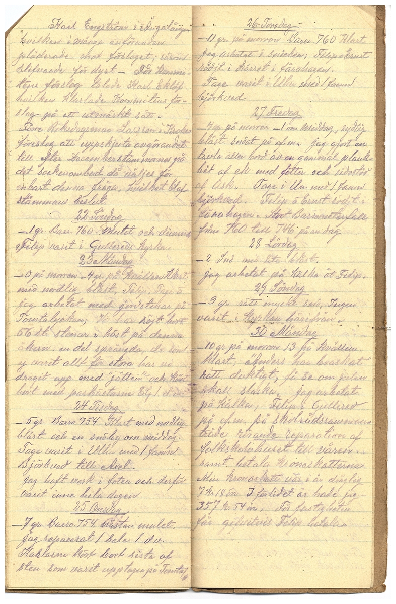 Gullereddagboken 1925