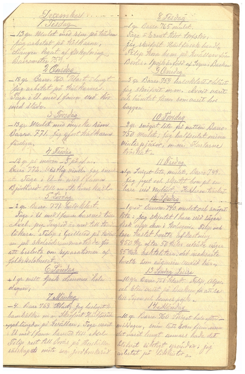 Gullereddagboken 1925
