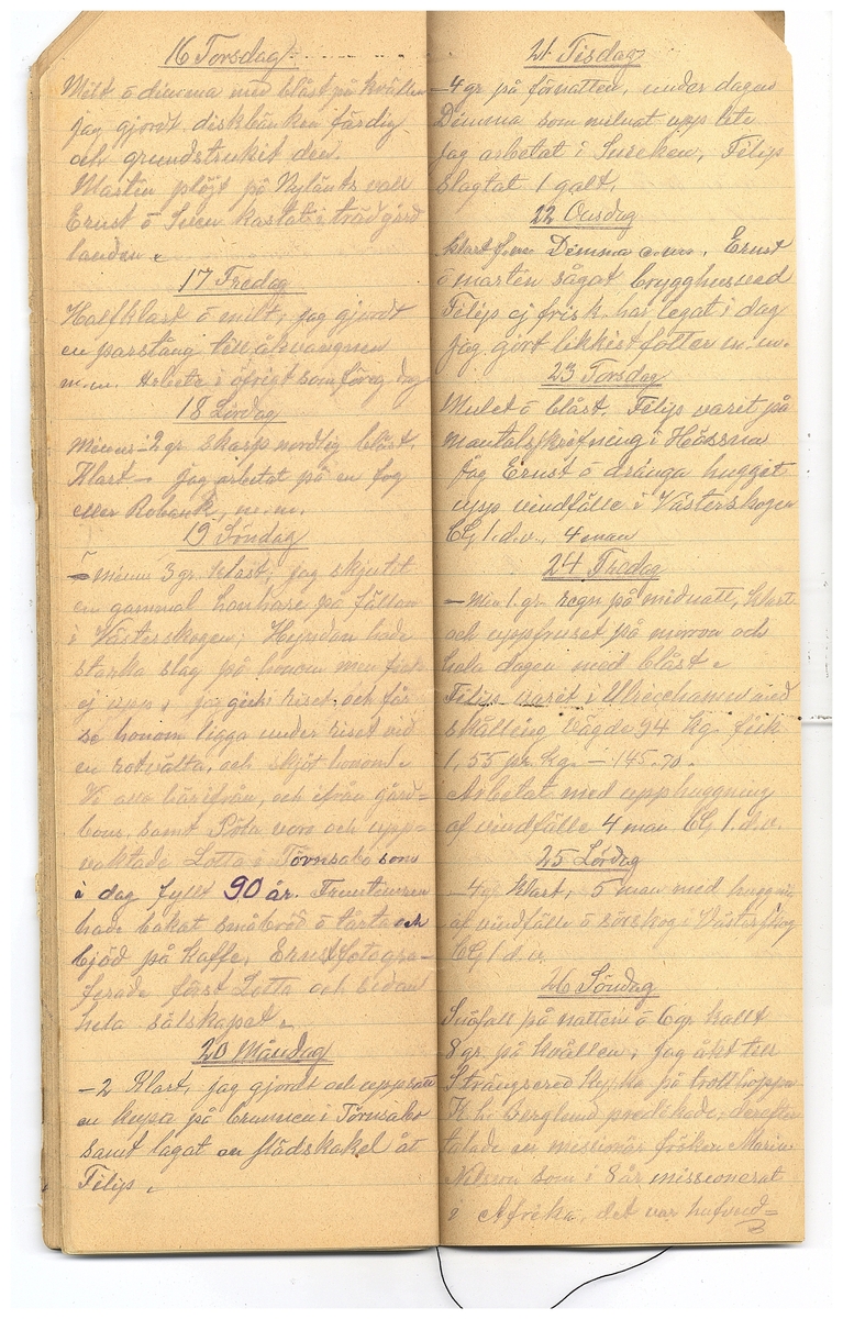 Gullereddagboken 1921-1922