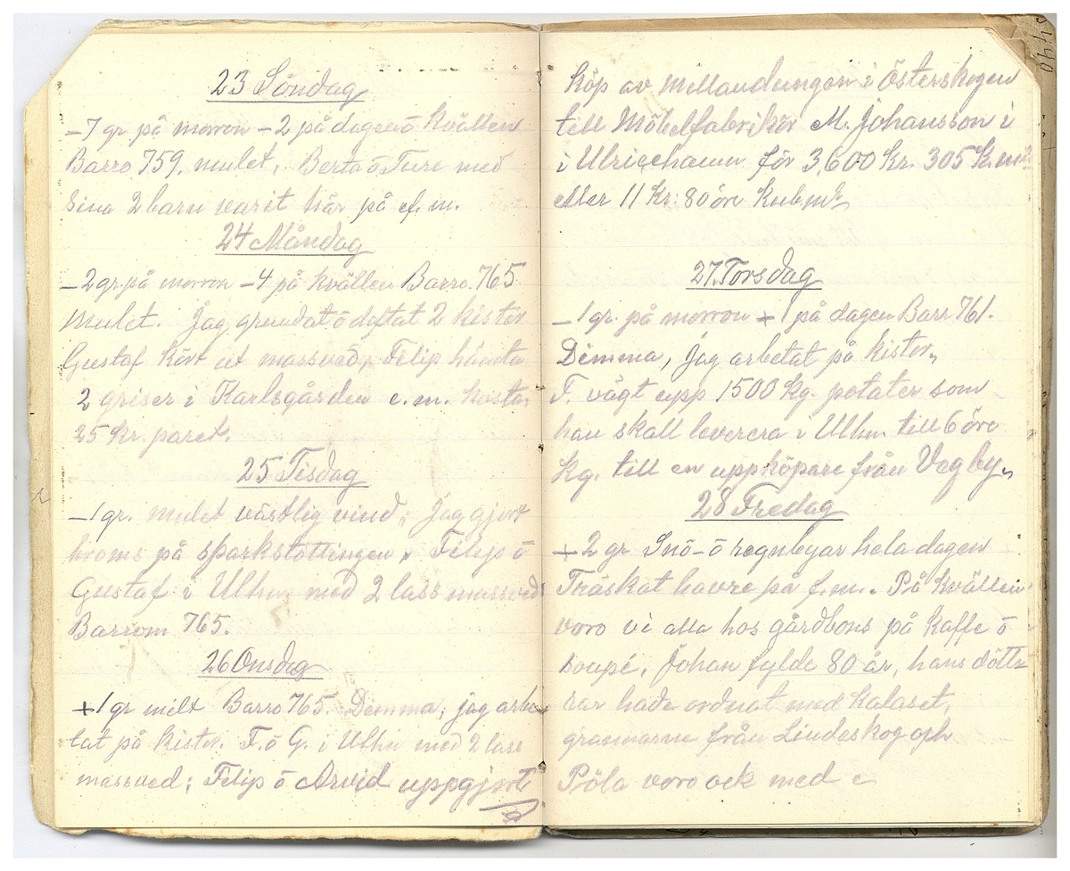 Gullereddagboken 1927 2