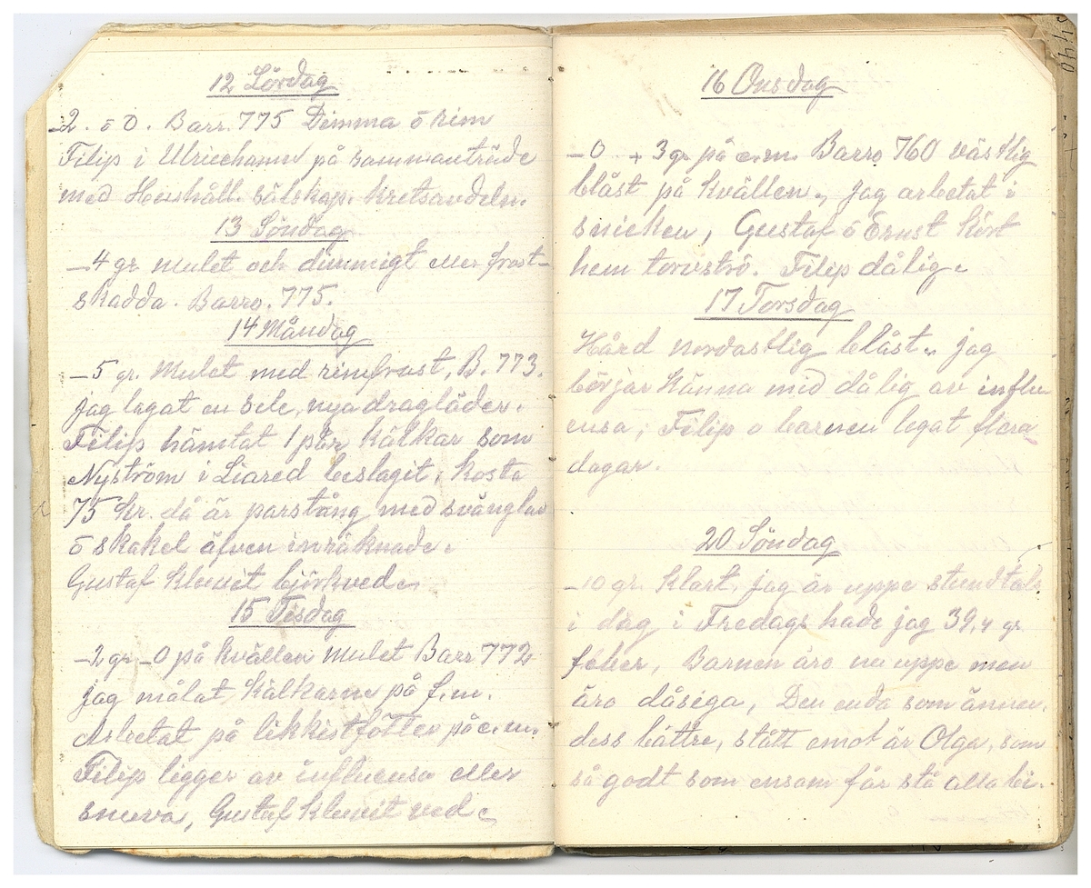 Gullereddagboken 1927 2