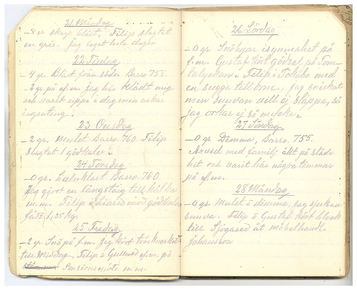 Gullereddagboken 1927 2